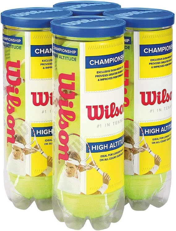 WILSON Championship Tennis Balls
