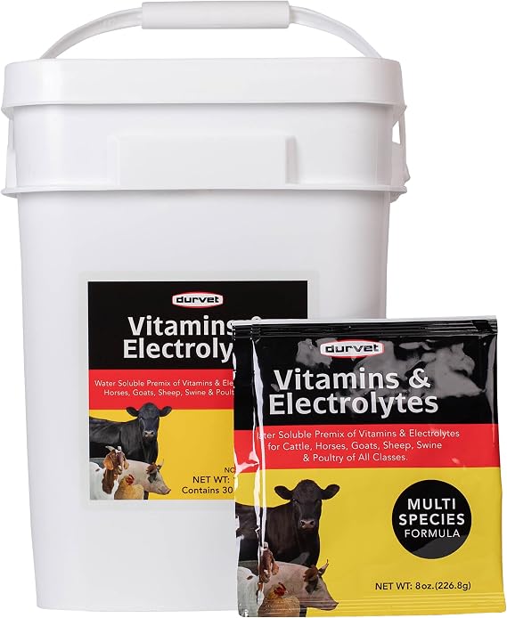 DURVET 136028 Vitamins & Electrolytes, 8 oz