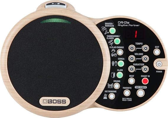 BOSS DR-01S Rhythm Partner (DR-01S)