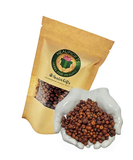 HealinGifts Uva-ursi Pinguica Bearberry Kinnikinnick dried fruit 4oz