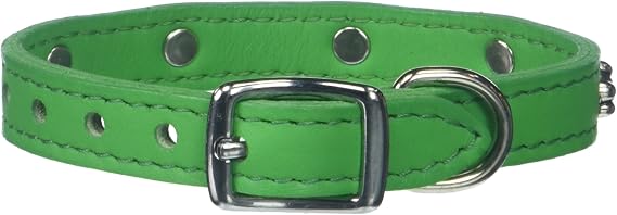 Signature Leather Dog Collar with Bone Ornaments, Emerald, 12"