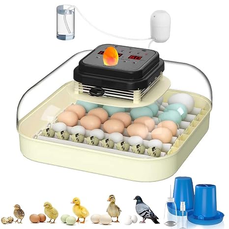 CoInceptus 35 Chicken Egg Incubator, Quail Incubator with Humidity Control