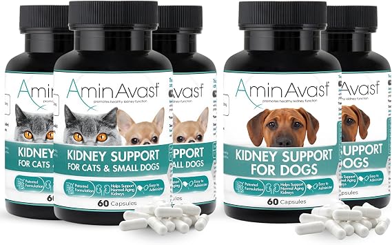 AminAvast Kidney Support Supplement for Cats, Small Dogs (300mg 3-Pack) and Dogs (1000mg 2-Pack) - Promotes Natural Kidney Function and Vitality - 60 Sprinkle Capsules