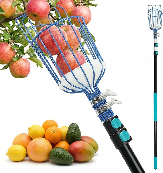 MAVRIZ 5-12ft Fruit Picker Pole with Basket, 20FT Reach Telescoping Apple Picker Extension Pole, Fruit Grabber for Harvesting Mango, Orange, Lemon, Avocado, Pear - Sturdy Aluminum Fruit Tree Picker
