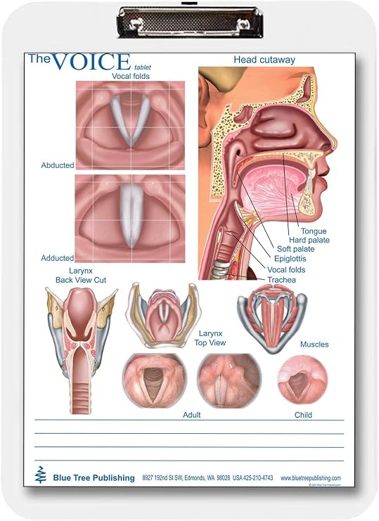 Swallowing and Larynx/Voice Clipboard Two Sided Chart and Dry Erasable