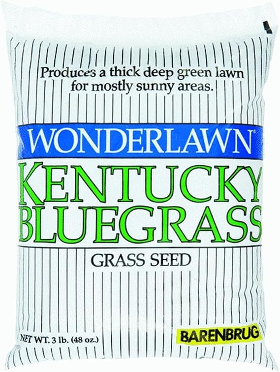 Barenbrug Usa 50203 Bluegrass Grass Seed