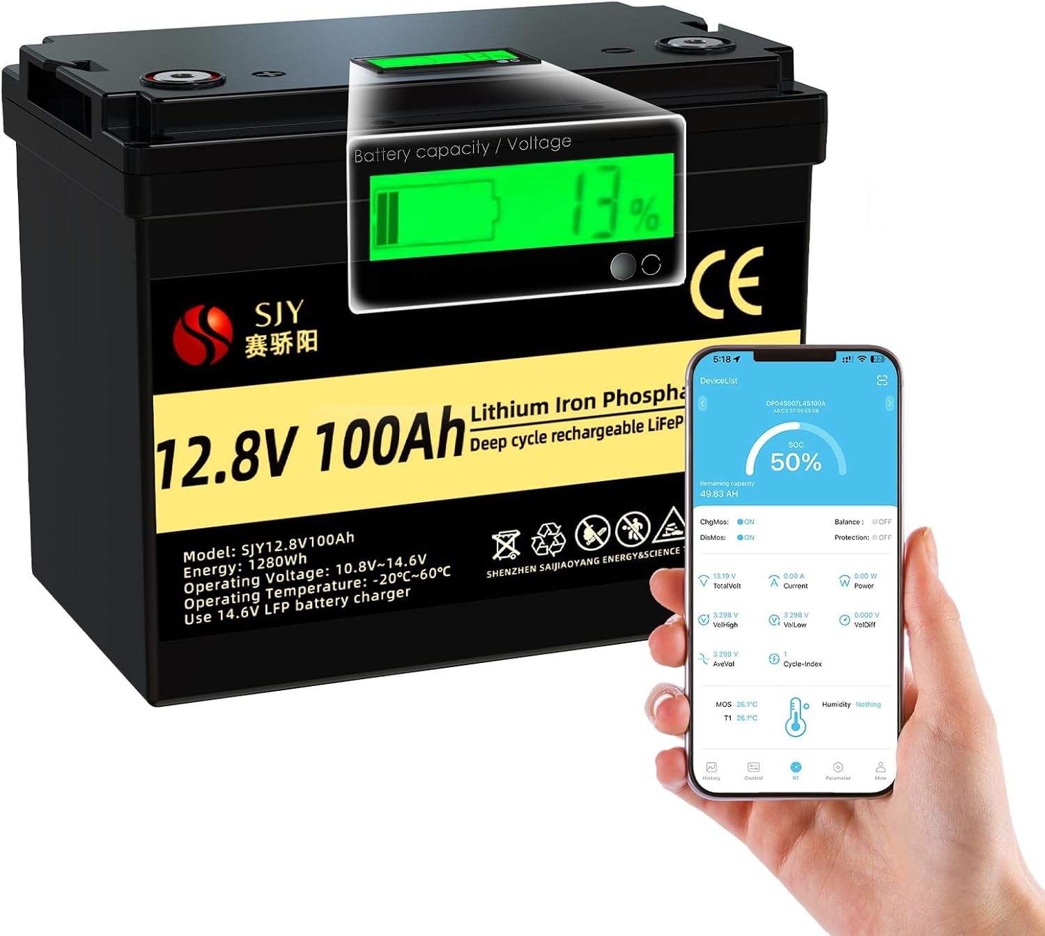 12V 100Ah LifePO4 Battery with Bluetooth and Charger, Build-in 100A Smart BMS up to 4000 Deep Cycle Grade A Lithium Battery Perfect for Off-Grid, RV, Solar System, Boat,Camper