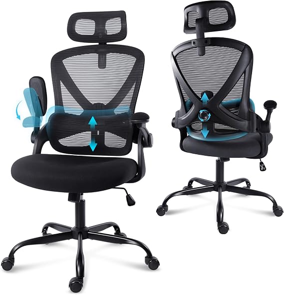 Ergonomic Office Chair with Lumbar Support and Flip-Up Armrests,Black