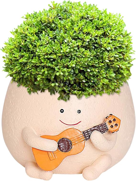 Smiley Face Planter Pot, Cute Plant Pot 4 Inch Resin Funny Planter with Drainage, Unique Plant Gifts for Women Small Succulent Face Flower Pot, Fun Teacher Appreciation Gift Plant Pots Indoor