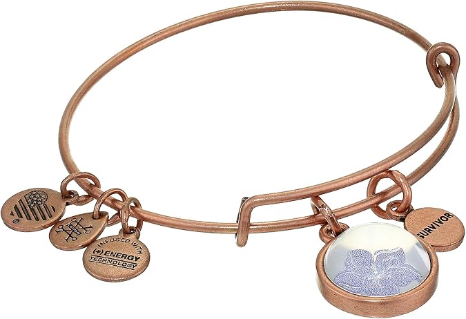 Alex and Ani Duo Charm Mantra Bangle Bracelet