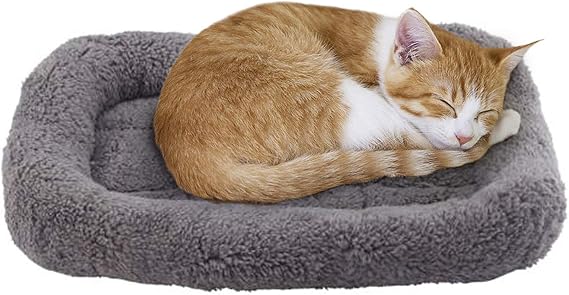 LESYPET Cat Bed for Indoor Cats, Soft Cat Cushion with Cat Pillow Around, Rectangle Kitten Pad Small Bed for Window Sill, 15'' x 10''