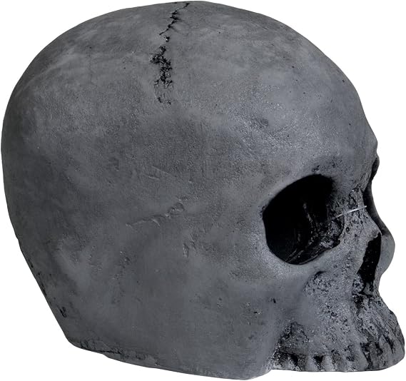 37176 Habi Aged Scape Skull Cave