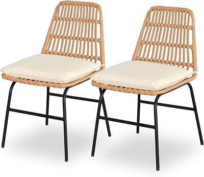 PROHIKER Dining Chairs Set of 2, Rattan Dining Room Chairs with Thick Cushions, Wicker Kitchen Side Chair for Kitchen Living Room Restaurant