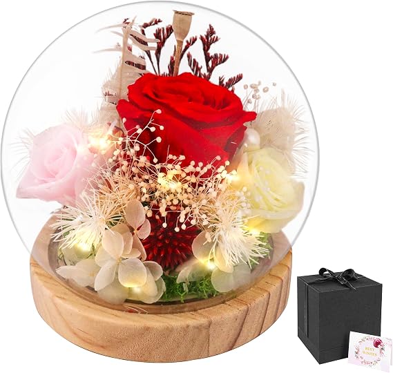 Preserved Flowers Real Red Rose in Glass Dome with Light, Eternal Flowers Glitter Roses Bouquet Birthday Mothers Day Unique Christmas Gifts for Mom