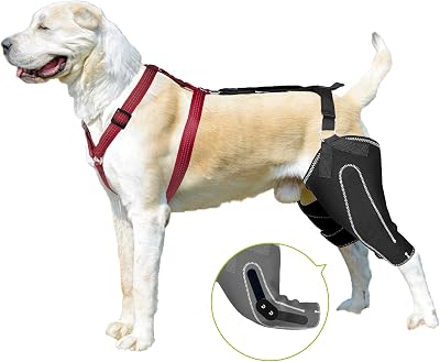 Dog Leg Braces for Back Leg Luxating Patella Joint Pain Arthritis Dog ACL Knee Brace with Metal Hinged Support for Better Recovery Both Legs L