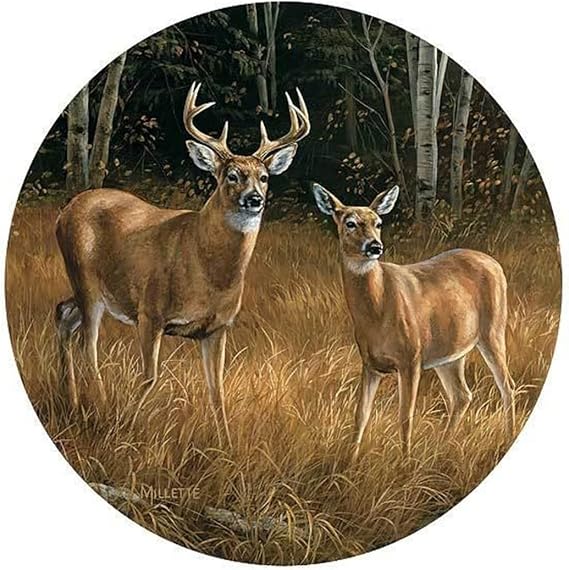 Whitetail Deer Coasters by Rosemary Millette