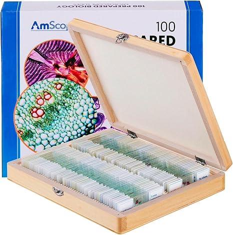 AmScope PS100E Basic Biology Prepared Slide Set for and Homeschool Use | Professionally Stained & Labeled Cedar Wood Oil Preserved Varnished Wooden Storage Case
