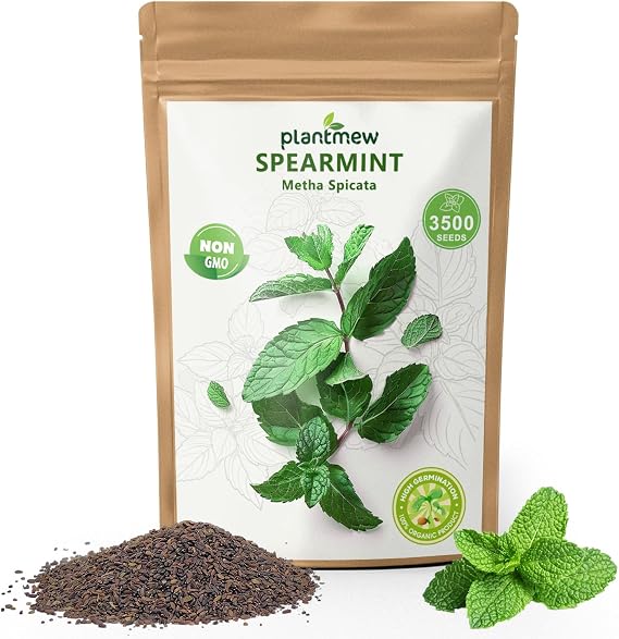 Mint Seeds for Planting - 3500 Spearmint Seeds, Non-GMO & Heirloom Perennial Herb Seeds for Indoor/Outdoor Herb Garden, Tea, Cocktails (1 Pack)
