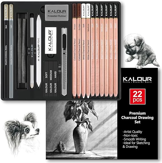 KALOUR PDAS 22pcs Charcoal Drawing Set, Professional Art Supplies, Black & White Charcoal Pencils for Drawing, Sketching, Shading, Blending, Artist Pencils for Beginners & Pro Artists