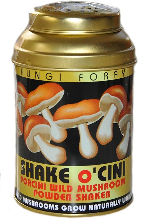 Shake O'CINI - Wild Porcini Mushroom Powder in Shaker 50g