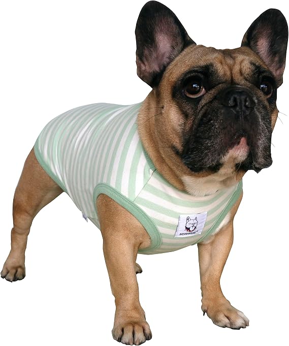 iChoue French Bulldog Striped T Shirts Green White Stripes - Large Plus
