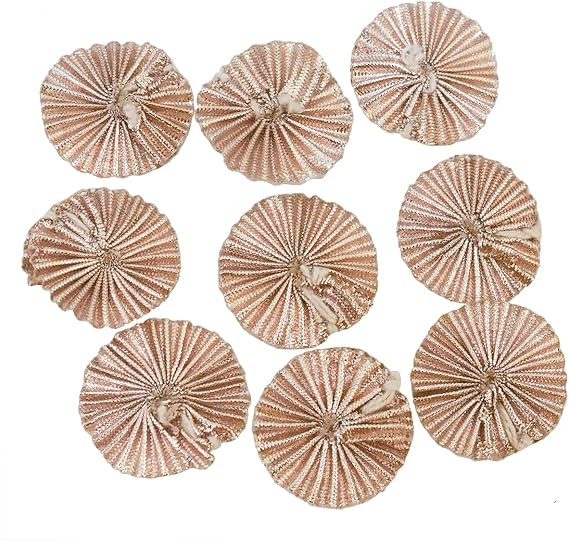Embroiderymaterial Gota Flower Ethnic Appliques Patches in Rose Gold Color 100 Pieces-3CM