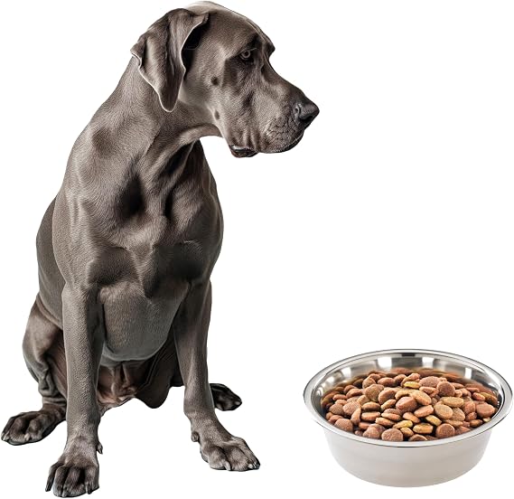 SPOT Stainless Steel Dog Bowl 5 Quart, 20 Cups (160 oz) Large Capacity for Large and XL Dogs, Mirror Finish, Rust Resistant, Dishwasher Safe