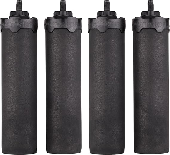 Boroux Foundation Black Replacement Water Filter - Replacement For Berkey BB9-2 and Gravity-Fed Water Filter Systems Set of 4