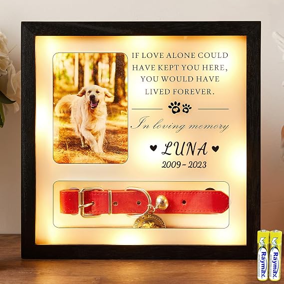 Pet Memorial Picture Frame Dog Collar Shadow Box 10"x10", Sympathy Remembrance Gift Keepsake for Loss of Dog or Cat, for Medium or Small Size Collars