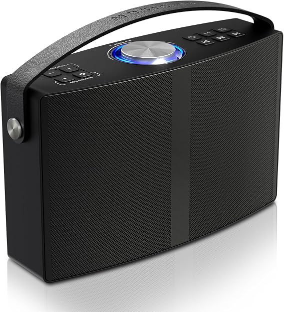 Gsou 30W Portable Bluetooth Speaker, EQ, Louder Volume, Clear Stereo Sound, Rich Bass, Aux-in, U Disk, Dual TWS Pairing, Wireless Bluetooth Speakers for Home, Office, Party and Backyard
