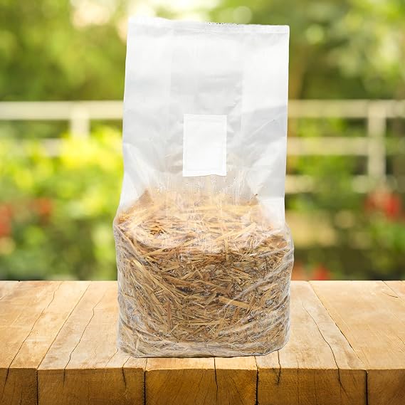 Pasteurized Wheat Straw Mushroom Substrate (5lbs)