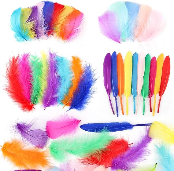 500 pcs Feathers for Crafting, 4 Styles Colorful Craft Feathers | Natural Goose Feathers for DIY Handmade Crafts, Box Filling, Dream Catcher, Mask, Party, Wedding Decoration