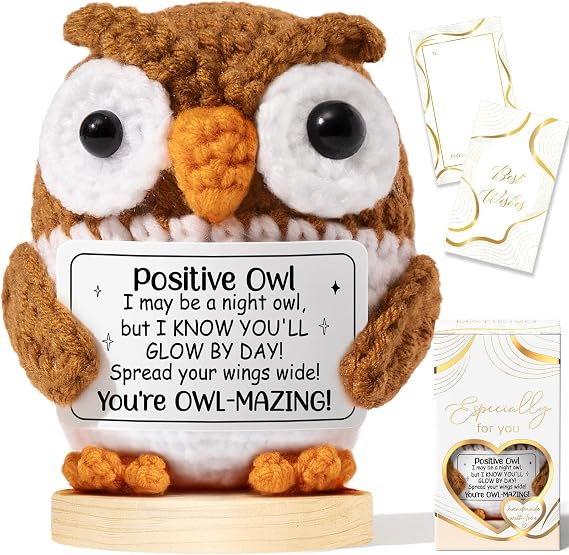 Emotional Support Crochet Positive Owl Inspirational Cheer Up Owl Gifts for Women,Handmade Positive Crochet Gift Thank You Birthday Mothers Day Teacher Appreciation Gifts for Coworker Nurse Mom Friend