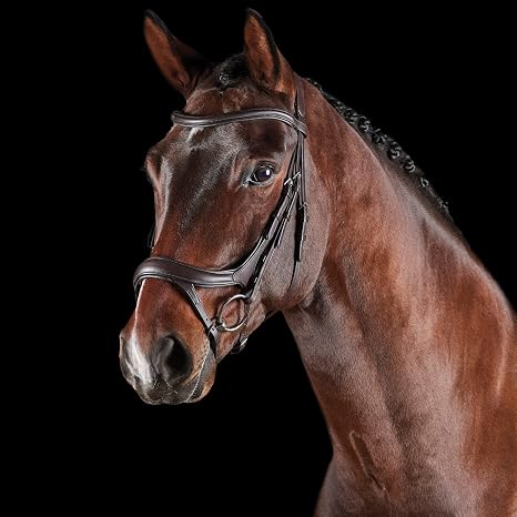 Collegiate ComFiTec Vogue Anatomical Bridle, Brown, Cob