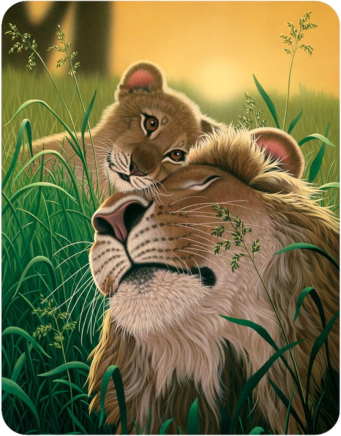 Magnet - A Fathers Love from Deluxebase. Lenticular 3D Lion Fridge Magnet. Magnetic Decor for Kids and Adults with Artwork Licensed from Renowned Artist, Schim Schimmel