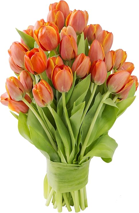 KaBloom-30 Orange Tulip Bouquet,Flowers for Valentine, Mother's Day