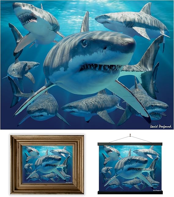 3D LiveLife Lenticular Pictures - Great White Shark from Deluxebase. A3 Unframed Deep 3D Effect Animal Wall Art for Living Room, Bedroom or Kitchen. Unique Shark Print Poster for Home Decor.