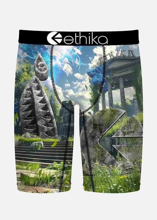 Ethika Men's Staple Boxer Brief, The Greek