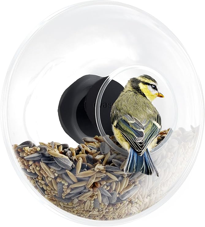 Eva Solo Window Bird Feeder