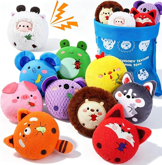 Sensory Toys Texture Bean Bags for Kids, 10 Packs