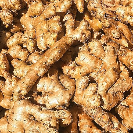 Kejora Premium Ginger Root 8 Ounces