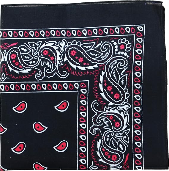 Mechaly Pack of 4 X-Large Paisley Cotton Printed Bandana - 27 x 27 inches